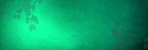 Leafy Green Website Banner