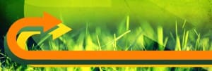 Green Grass Website Banner