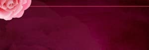 Pink Rose Web Banner