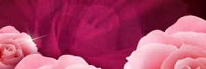 Mother's Day Web Banner
