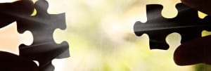 Puzzle Website Banner