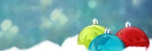 Joy to the World Website Banner