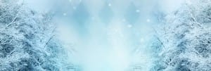 Winter Website Banner