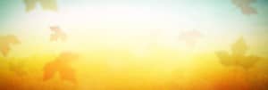 Fall Leaves Church Website Banner Grahpics