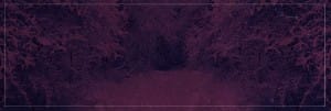 Our Christmas Wish Christian Website Banner