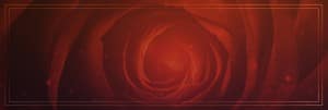 A Love that Never Fails Religious Website Banner