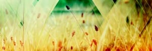God the Father Christian Web Banner