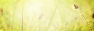 Resurrection Sunday He is Risen Christian Web Banner