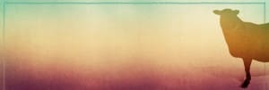 My Sheep Hear My Voice Religious Website Banner