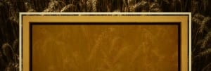 The Rich Fool Ministry Website Banner