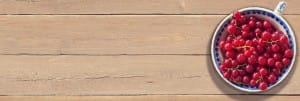Bearing Good Fruit Religious Web Banner