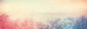 Searching for a Savior Christian Website Banner