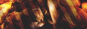 Jesus Feeds Five Thousand Church Web Banner