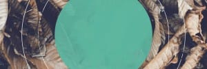Starting Over Religious Website Banner