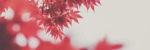 Prayer Service Ministry Website Banner