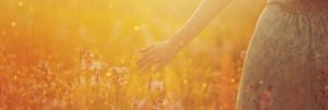 Ruth The Story of Redemption Web Banner