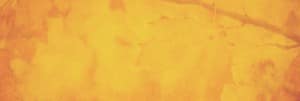 Thanksgiving Fall Christian Web Banner