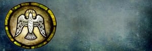 Dove Circle Website Banner