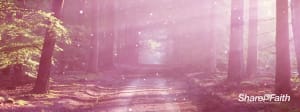 Road in the Forest Church Triple Wide Worship Motion Background Loop
