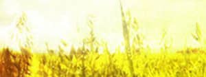 Abstract Fall Worship Triple Wide Motion Loop