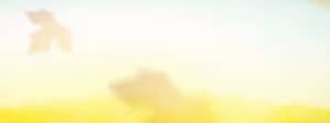 Fall Back Time Worship Multiscreen Motion Loop