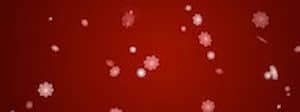 Crimson Snowflakes Ministry Triple Wide Motion Loop