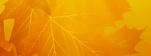 Abstract Fall Worship Triple Wide Video