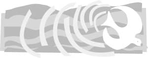 Grayscale Modern Dove Accent