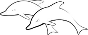 Two Simple Dolphins Jumping