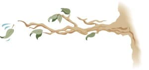 Tree Branch with Falling Leaf
