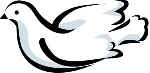Dove Sitting Image