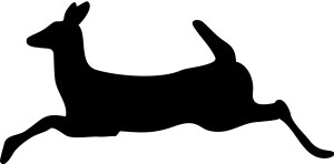Deer Bounding