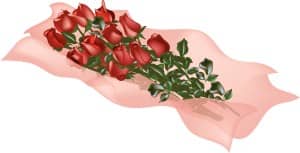 Roses on Pink Tissue Paper