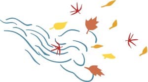 Simple Leaves on Wind