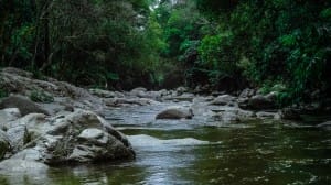 Forest River Church Stock Photo