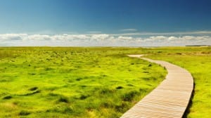 Walkway Through the Meadow Christian Stock Photo