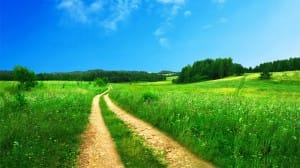 Beaten Path Through a Field Religious Stock Photo