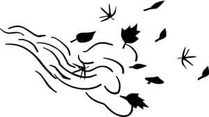 black Leaves on Wind