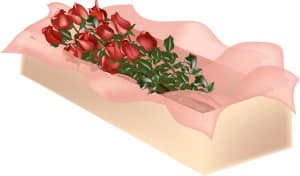 Boxed Long Stem Roses