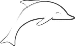 Jumping Dolphin