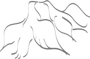 Kissing Doves
