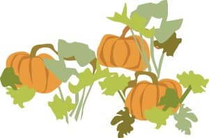 Pumpkin Patch with Foliage