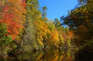 Autumn Trees Beside Stream Christian Stock Photo