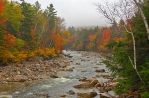 River Through Trees Christian Stock Photo