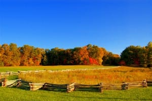 Goldern Fields in Fall Ministry Stock Photo