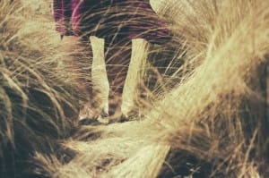 Walking Through Harvest Fields Church Stock Photo