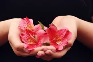 Flower Petals Religious Stock Photo