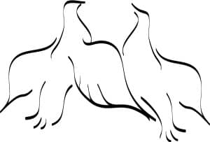 The Embracing Doves