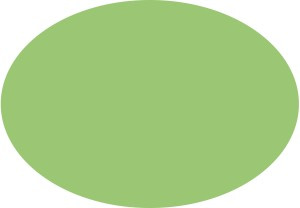 1177446574617_1726