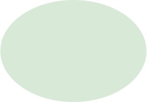 1177446649938_1786